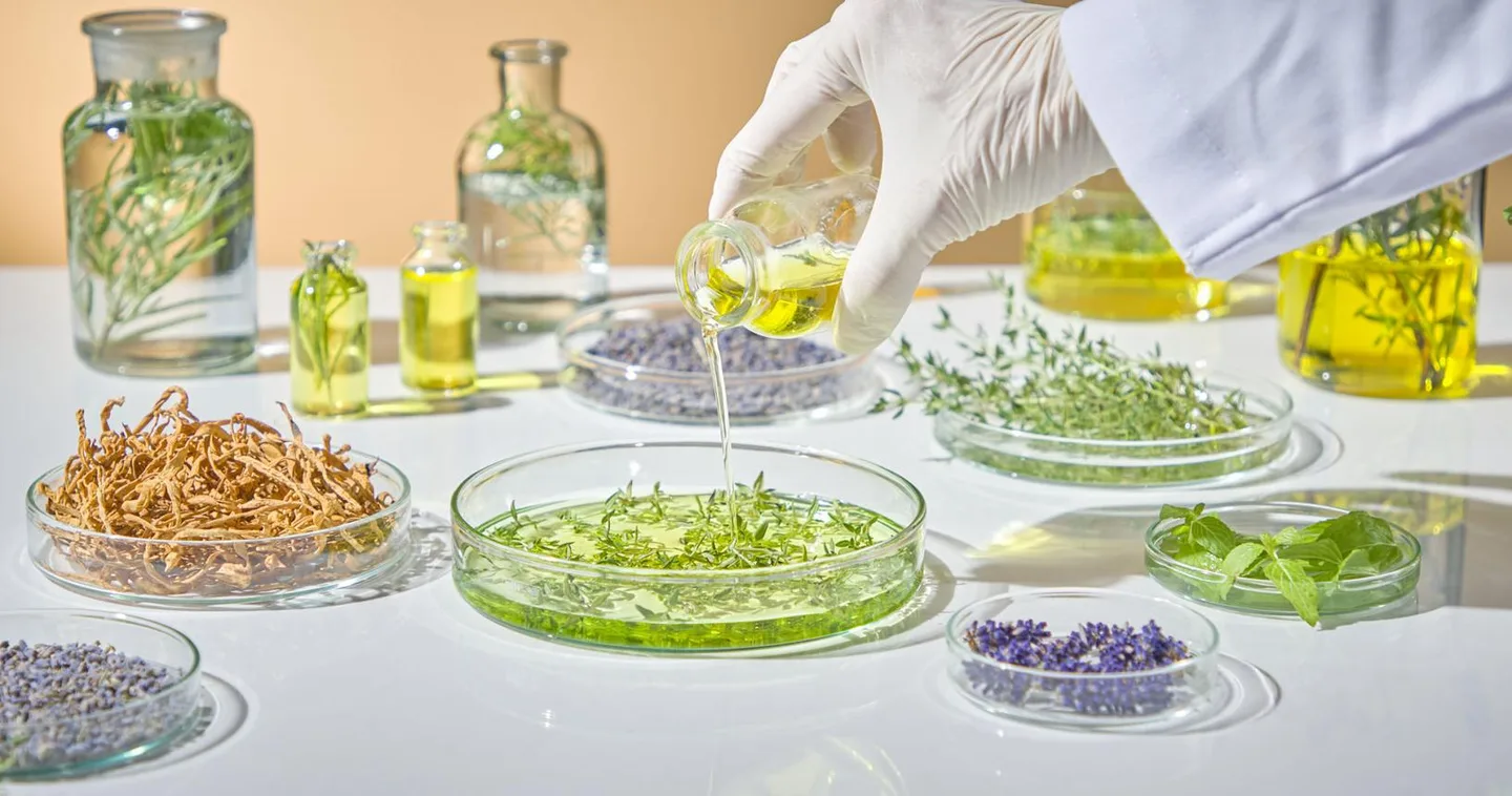 Botanical plant extracts used in Max Vibe formula — scientific approach